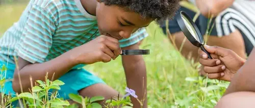 children using magnifying glass